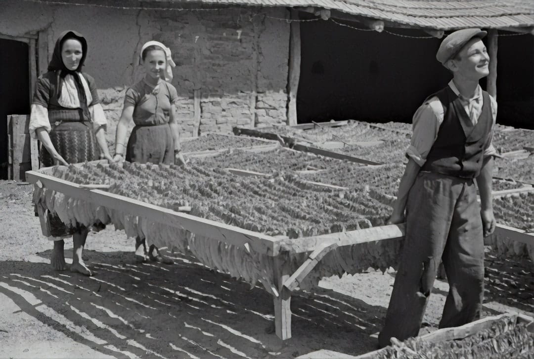 Summer camp at Chick-fil-A