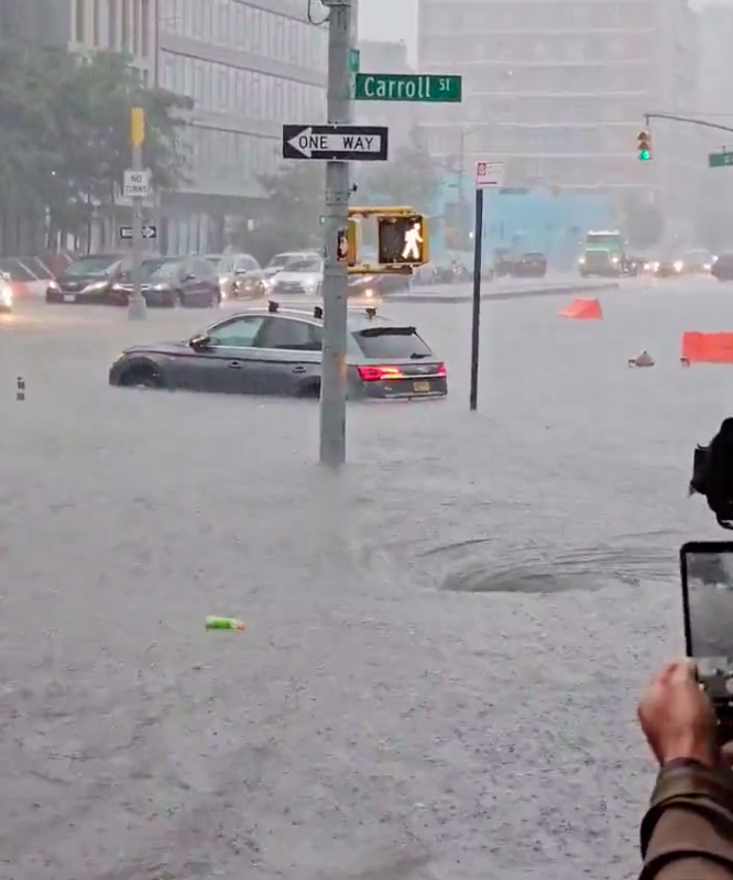 The Capitalists Will Let You Drown