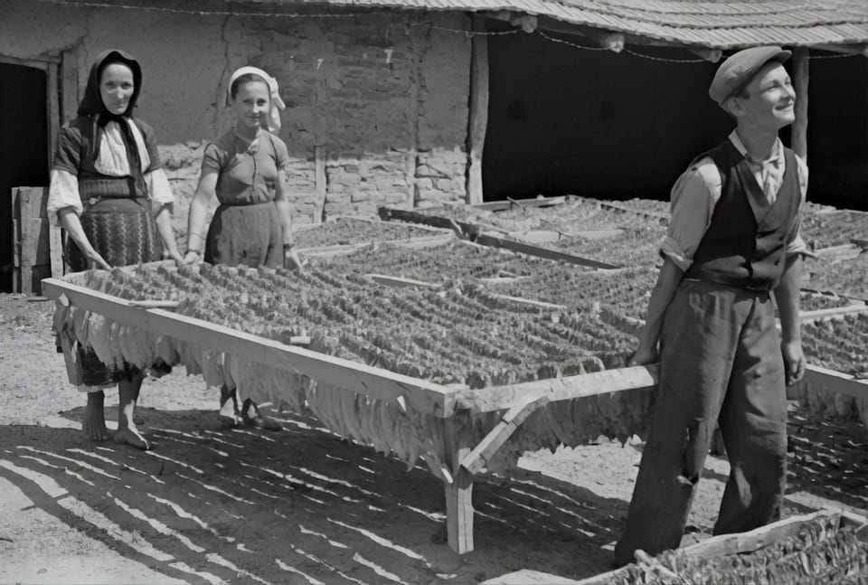 Summer camp at Chick-fil-A